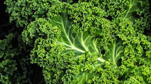 Kale